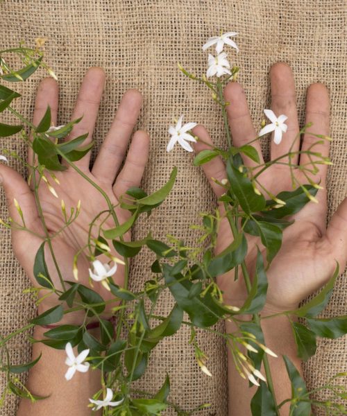 composicion-del-concepto-de-sostenibilidad-de-naturaleza-muerta